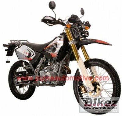 2011 Puma Rottaler 125 Cross photo